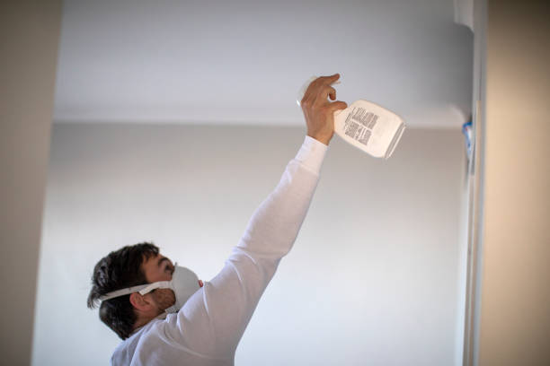 Best Attic Mold Removal  in Swansea, IL