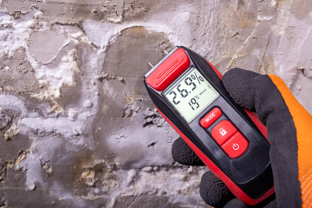 Professional Mold Removal in Swansea, IL
