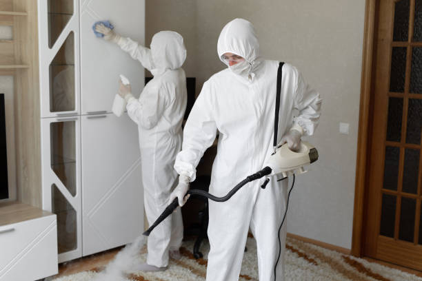 Mold Testing and Removal in Swansea, IL